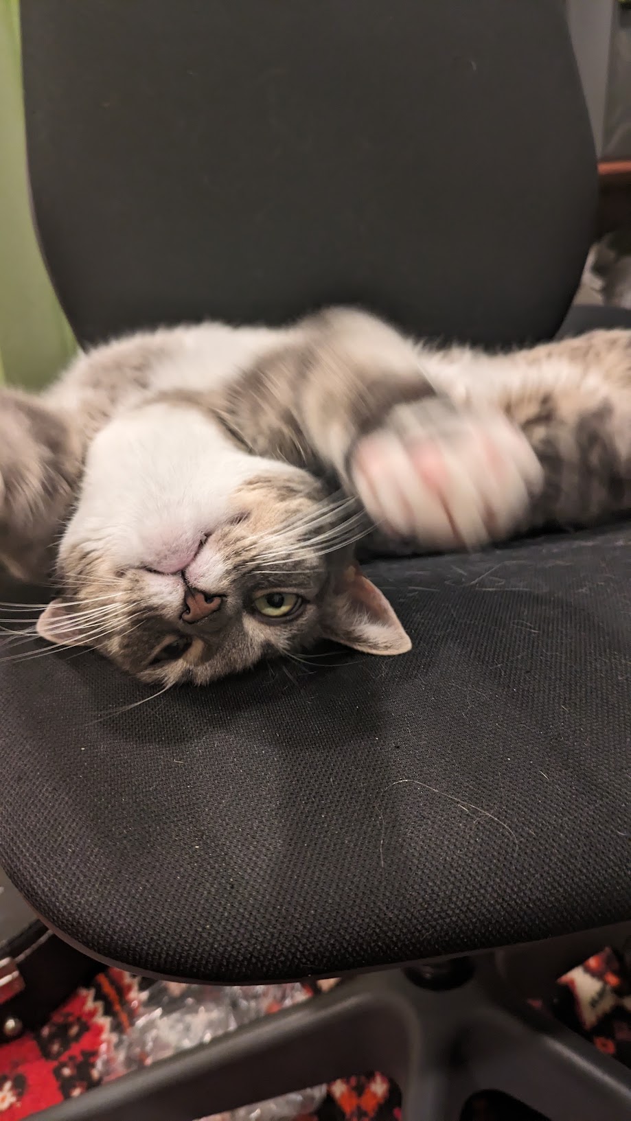 PXL_20231227_180711219