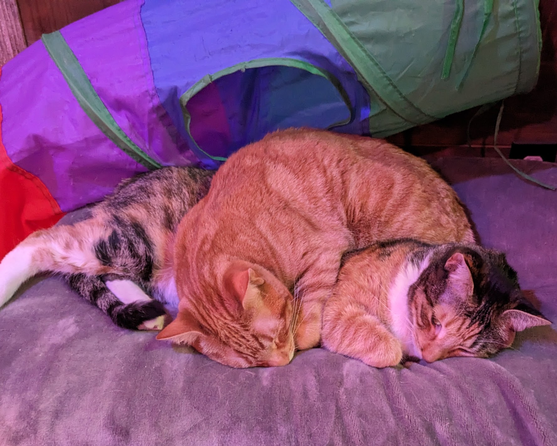 PXL_20240105_011010346~2