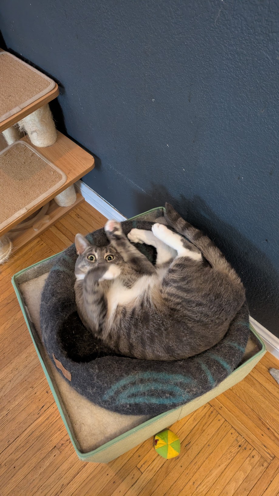 PXL_20250830_172920531