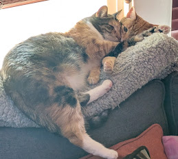 PXL_20250908_005016827