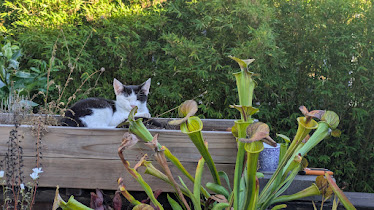 PXL_20251017_235800615